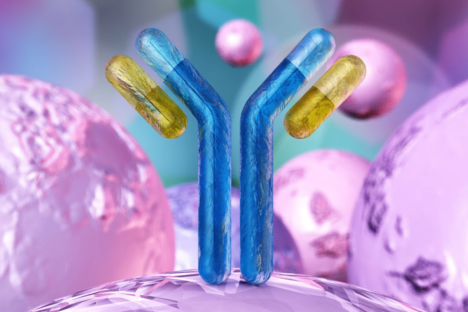 Computergrafik eines Antikörpers